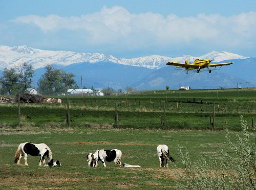 crop duster and gypsy horses